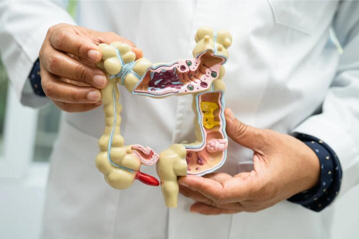 Simple Habits for Better Digestion