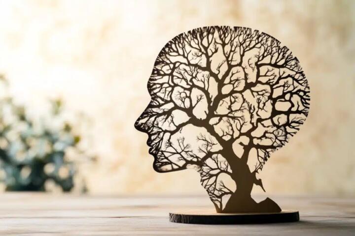 Cognitive Reserve: What Researchers Actually Measure